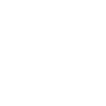 Michigan State Logo